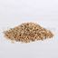Bild von Pilsner Malz 6RW