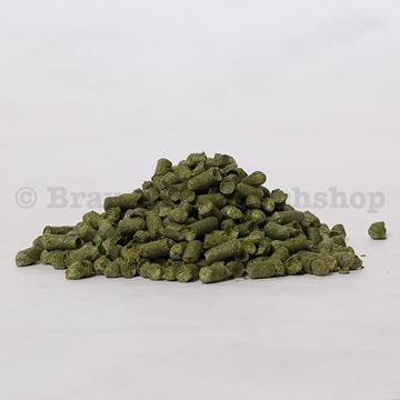 Picture of CH-BIO Fuggles 3.6%