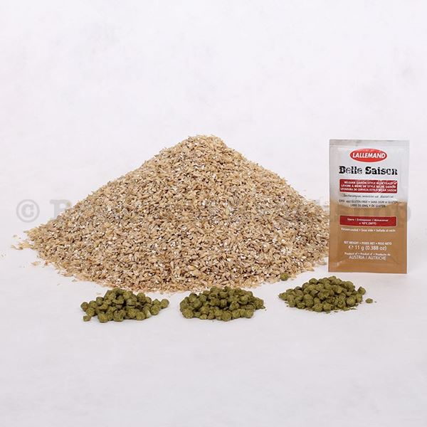 Bild von American Saison 50 Liter mit Trockenhefe