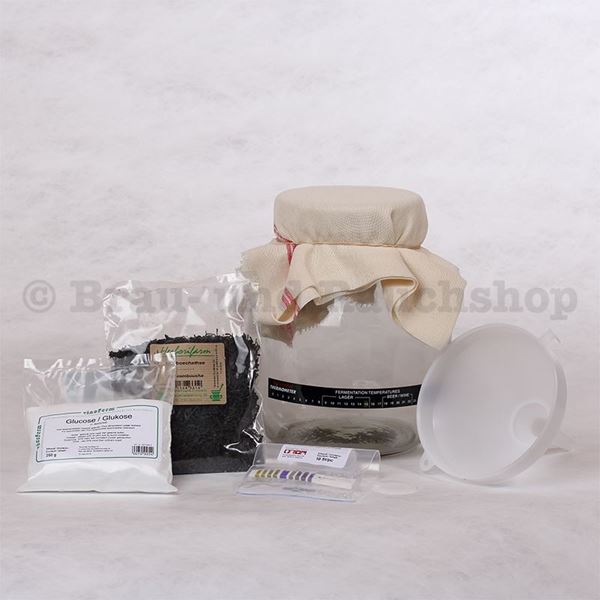 Bild von Kombucha Starter-Set ohne Buch