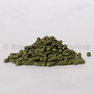 Bild von Opal 6.4%