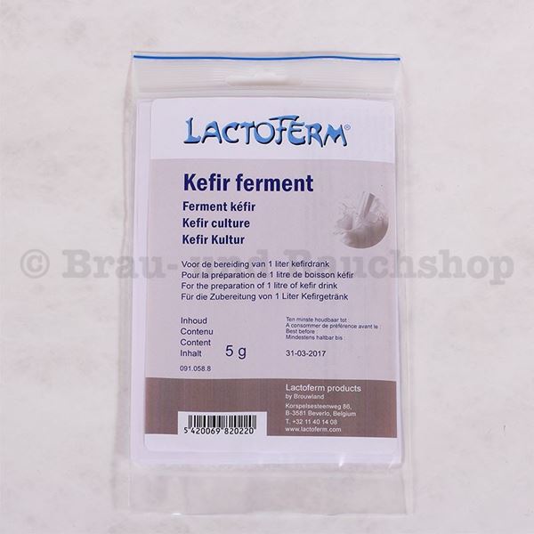 Bild von Kefir-Kultur trocken
