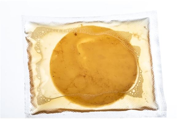 Bild von Scoby für Kombucha