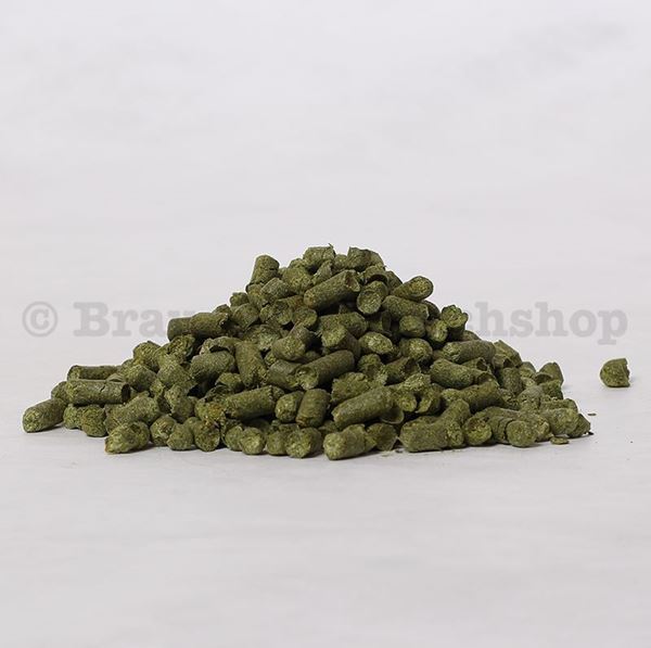 Bild von Triumph 50g  9.8%