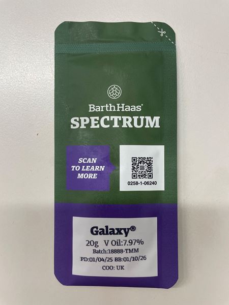 Bild von Spectrum Galaxy 20g