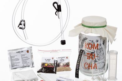 Bild für Kategorie Kombucha