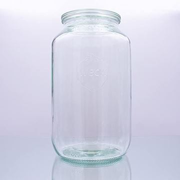 Bild von Kombucha Starter-Set Ersatzglas
