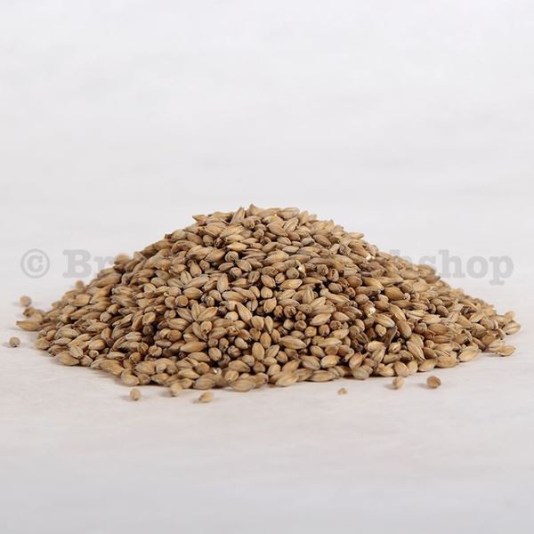 Bild von Maris Otter