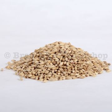 Bild von Gerstendiastasemalz, Gramm