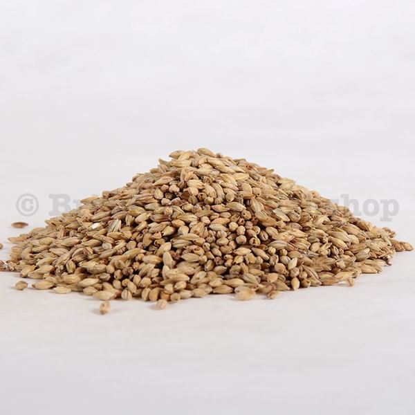 Bild von Münchner Malz Typ 2