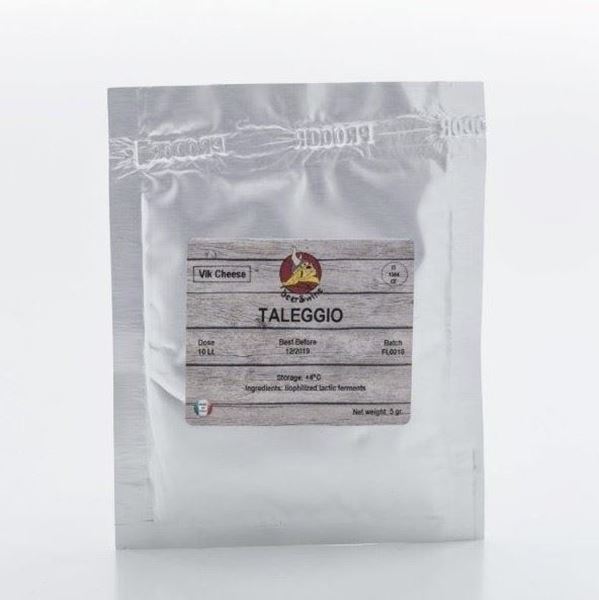 Bild von Käsekultur Taleggio