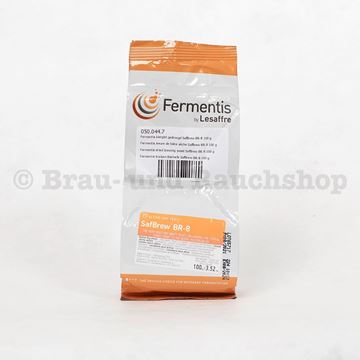 Bild von SafBrew BR-8 (BRETT) 100g