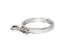 Picture of Brewtools Tri Clamp 3" Schelle