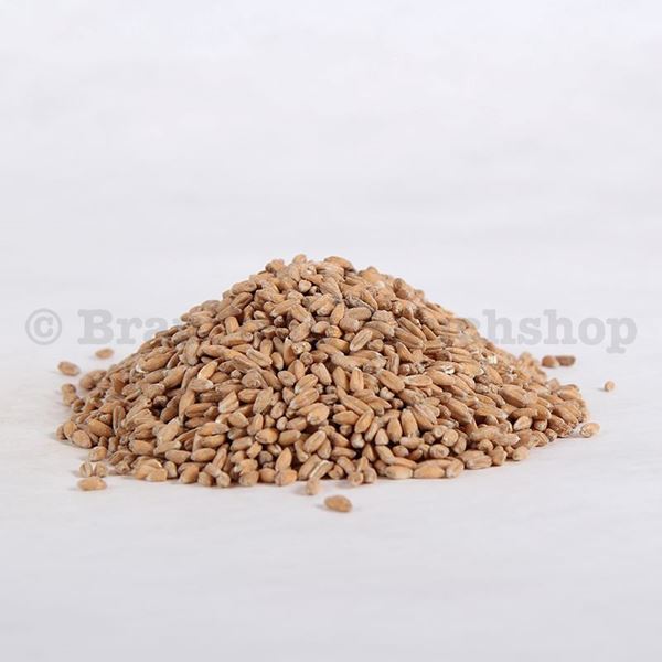 Bild von BIO KNOSPE Dinkelmalz DE  Kg