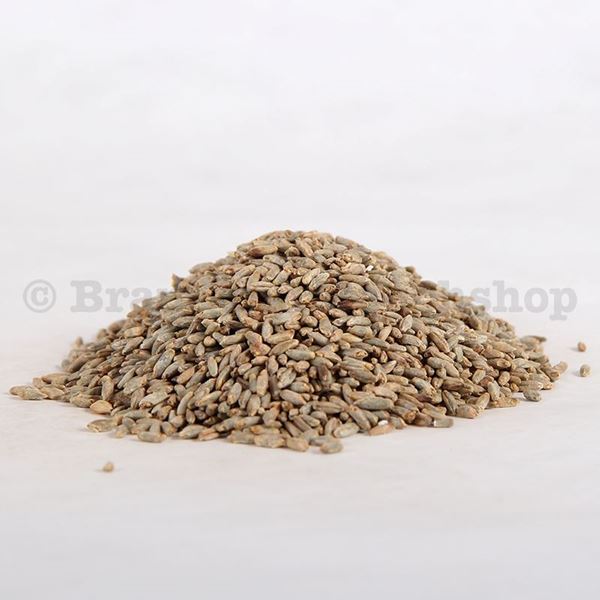 Bild von BIO KNOSPE Roggenmalz DE Kg