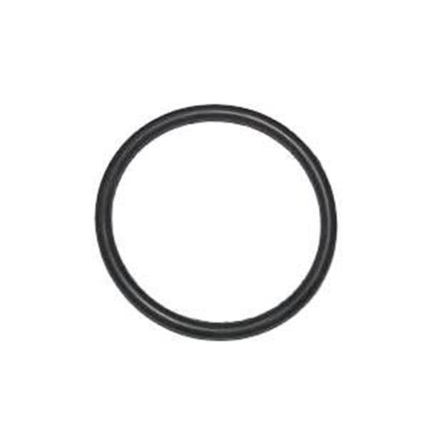Immagine di O-Ring zu Keg-Deckel
