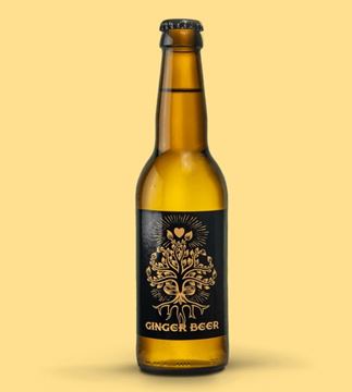 Bild von Keimling HER-GINGER BEER