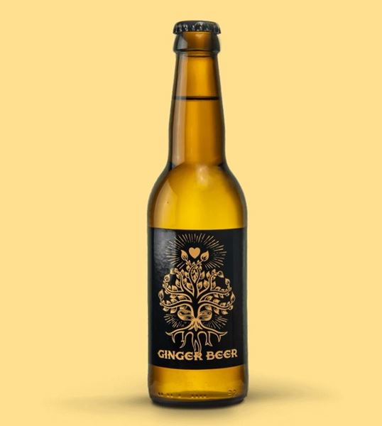 Bild von Keimling HER-GINGER BEER
