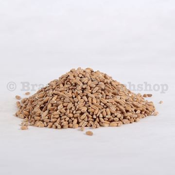 Bild von BIO KNOSPE Dinkelmalz DE  Kg