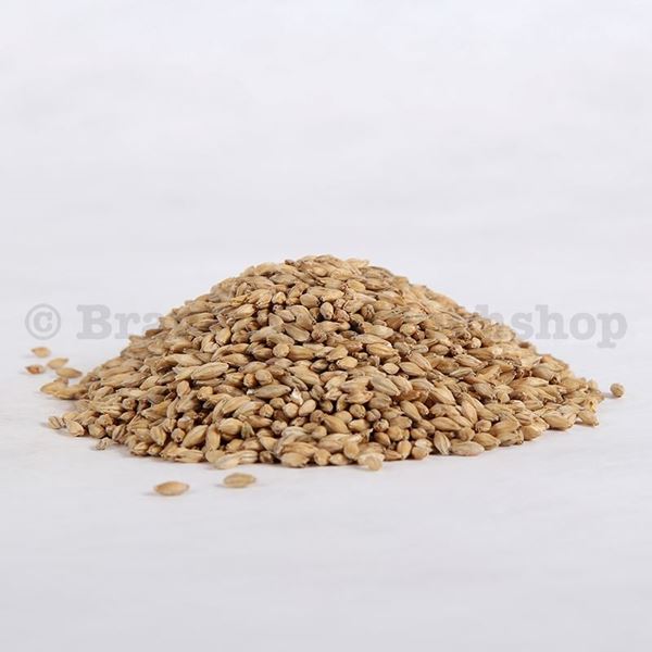 Bild von BIO KNOSPE Pale Ale Malz DE Kg
