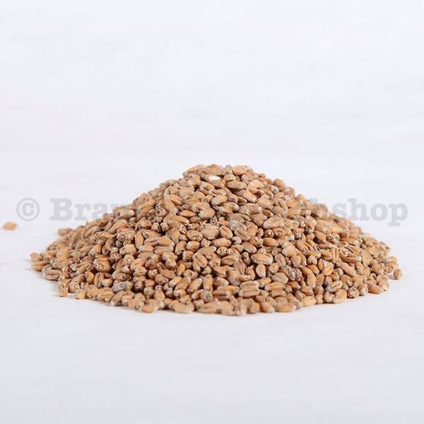 Bild von BIO KNOSPE Weizenmalz hell DE Kg