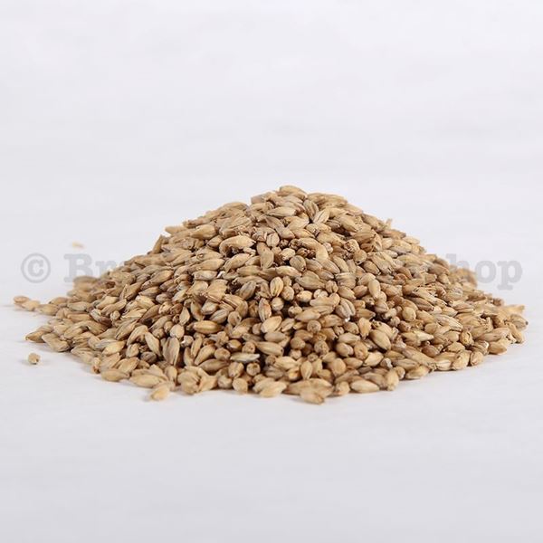Bild von BIO KNOSPE Pilsner Malz DE  Kg