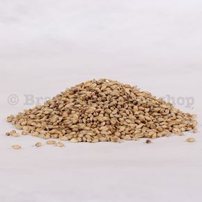 Bild für Kategorie Barke® und Tennen Malz